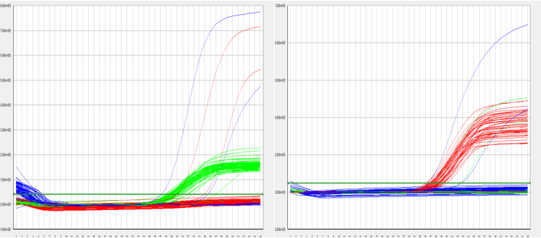 pcr异常扩增曲线案例分析与解决办法盘点!_腾讯新闻