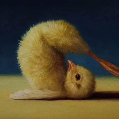 你的故事由自己决定,轮不到别人来指手画脚