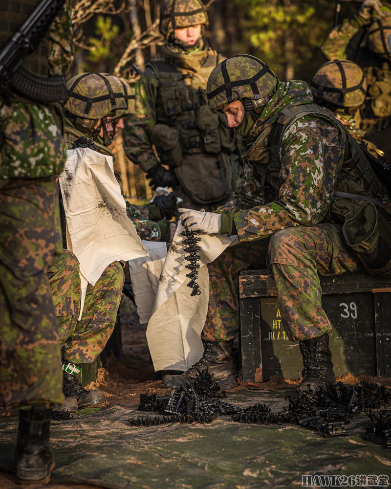 芬兰陆军防空部队实弹演习"神枪手"高炮现身 机枪成为最后手段_腾讯