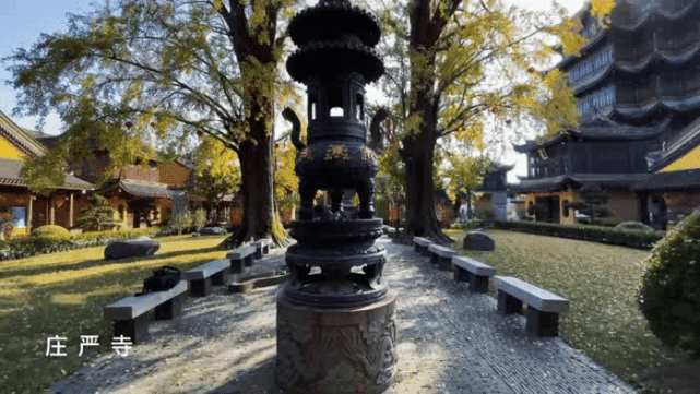 打卡青浦銀杏地圖|莊嚴寺|朱家角古鎮|銀杏|青浦區