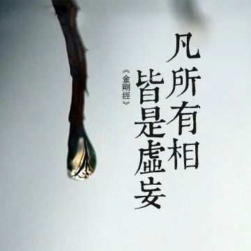 《金刚经》里说:凡有所相,皆为虚妄.若见诸相非象,则见如来.