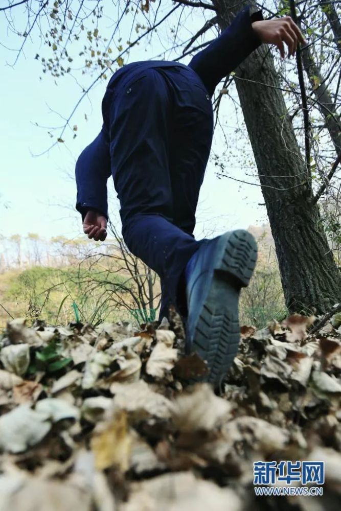 新华网关注|鄠邑"95后"生态卫士用脚步丈量青春 用真心守护秦岭