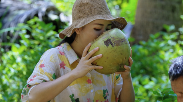 假椰子树的果实
