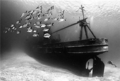 我国打捞阿波丸号发现368具日本人遗体归回日本却遭索赔15亿