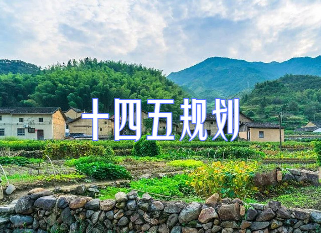 农村人口检查_宝山区农村地区常住人口核酸检测工作完成(2)