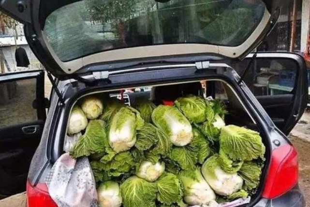路虎后备箱拉白菜被查,车主不满处罚:自家吃的白菜凭啥罚我?