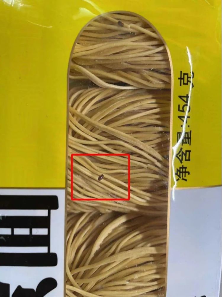 恶心!品牌面条里有一堆虫子在爬