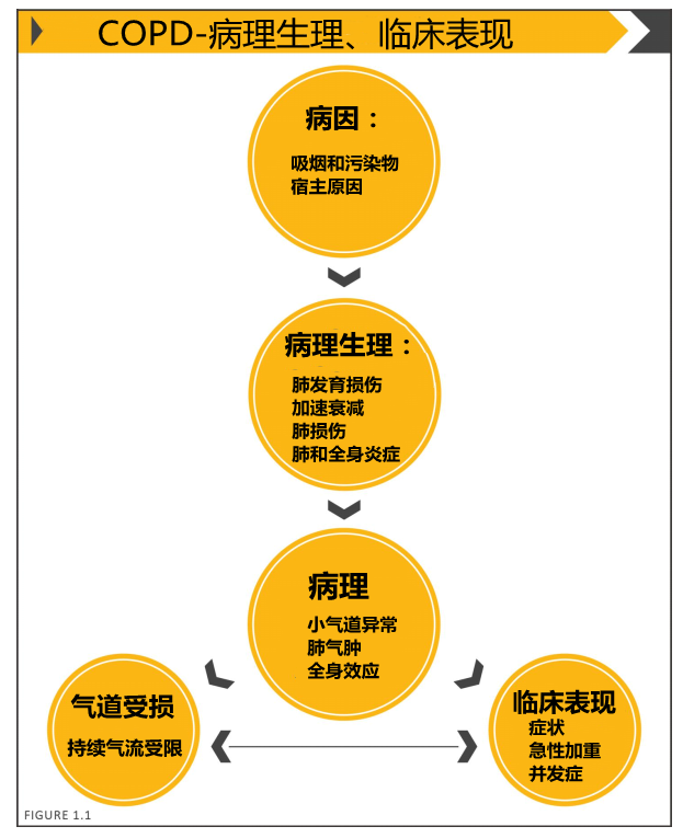 肺炎能治好吗_肺炎治好后还会被传染吗_肺炎治好了能抽烟吗