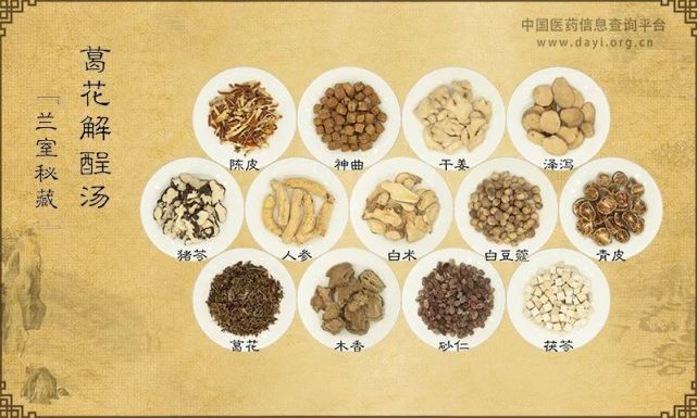 酒后解毒良方李东垣解酒第一汤让脾胃披上金钟罩