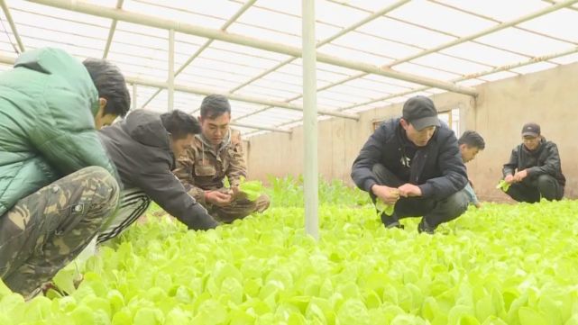 康秘書變身康師傅蔬寫致富經