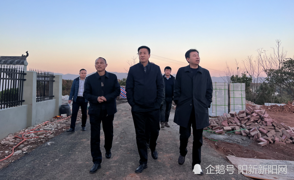 阳新新闻:万鼎赴城东新区调研产业发展情况