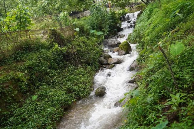 凤庆县二道河自然村是一个集旅游,避暑,休闲于一体的天然氧吧.