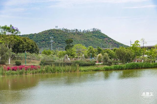 圖源:酷吧遊玩小貼士門票:無需門票地址:深圳市寶安區松崗街道北部