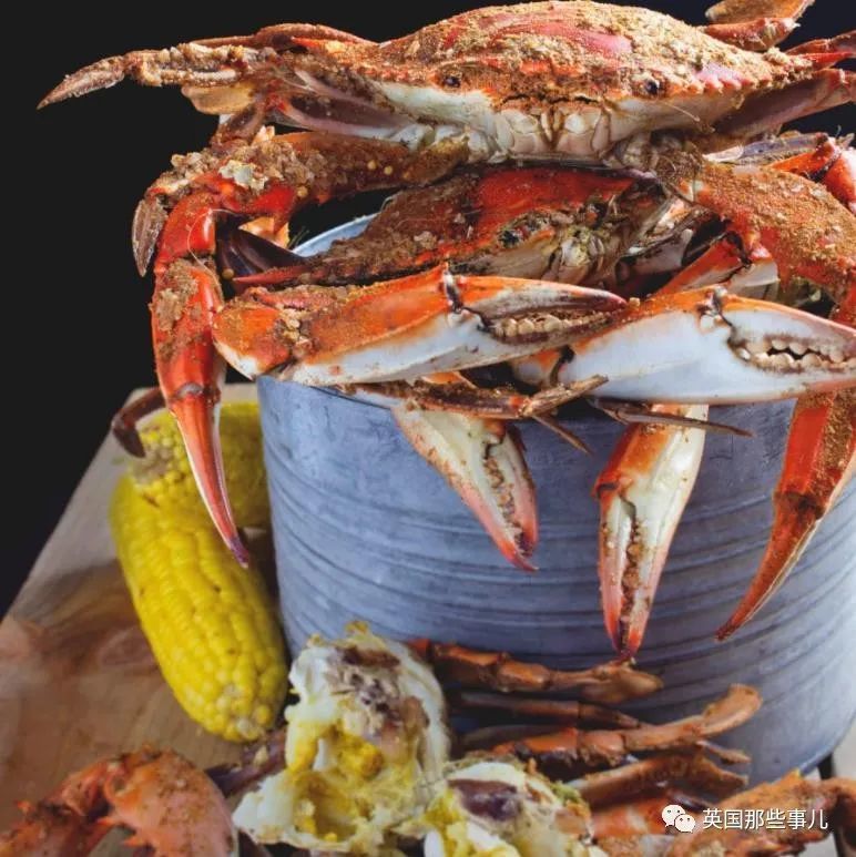 英国呼吁禁止活煮龙虾、螃蟹和章鱼：因为“它们也会痛”000760博盈投资