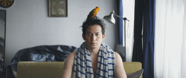 "抄袭"抄成狈抗诰,我也是服了