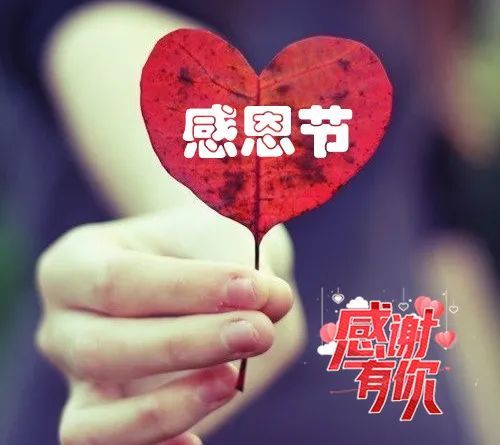 感恩节图片大全感恩节动图表情感恩节祝福语大全