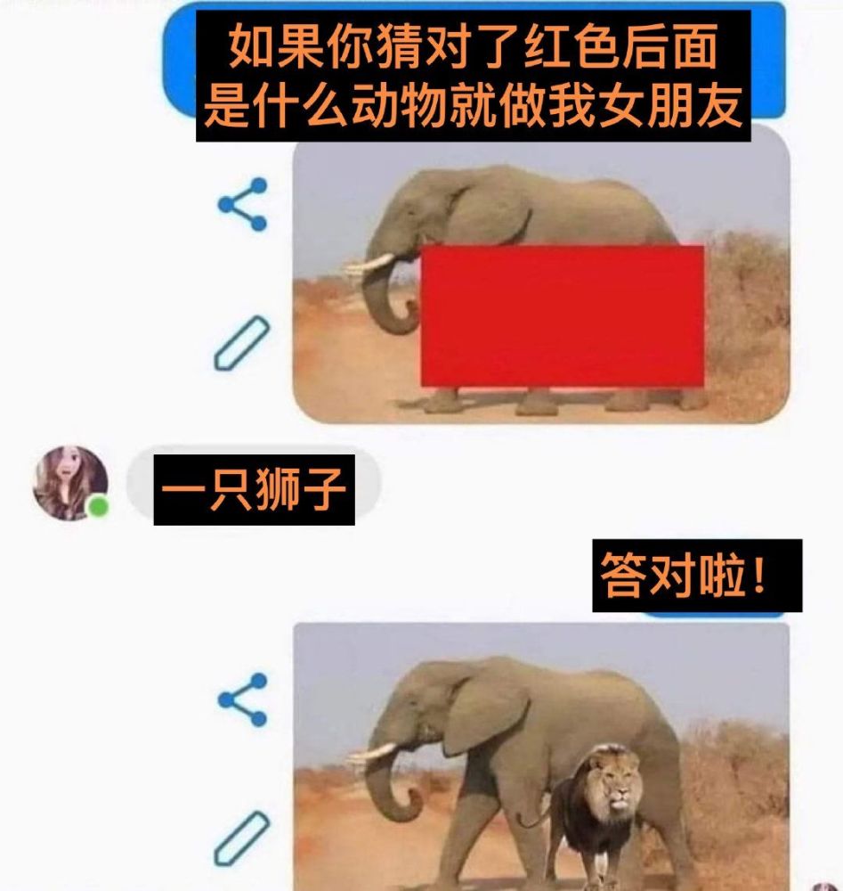 33爆笑趣图439如果你猜对了红色后面是什么动物就奖励你一份礼物.