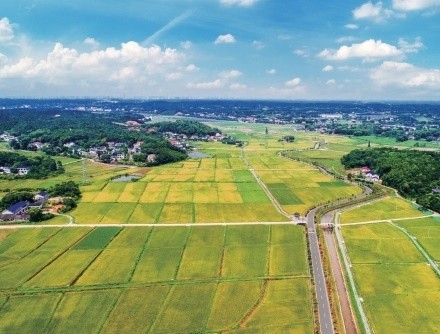 山水田园,春华秋实.图为春华镇美丽乡村.