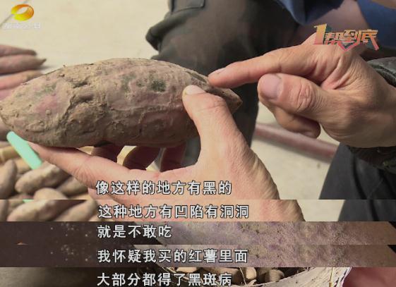 红薯长黑斑能不能吃?你想知道的都在这里