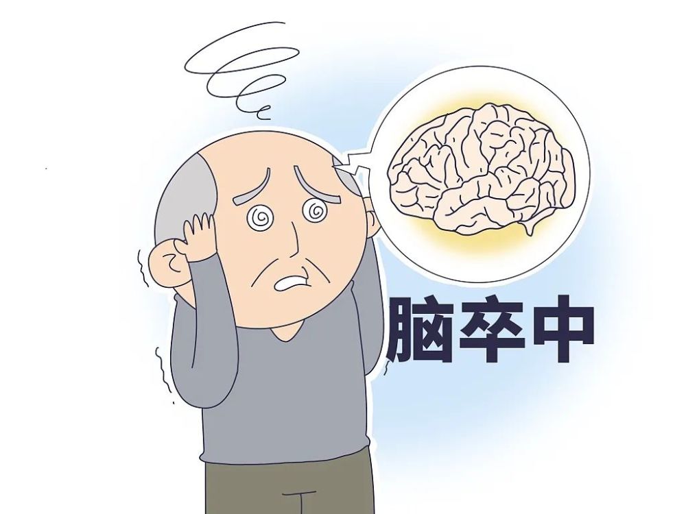 高血压是诱发脑卒中的主要高危因素之一.