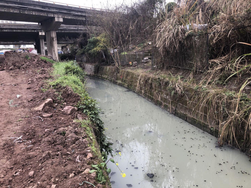 一條黑臭水體打造成一個公園 四川內江推動黑臭水體治理