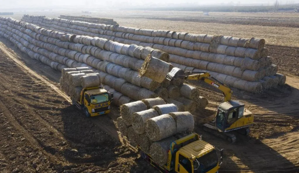 饲料上新吕梁山里秸秆华丽变身