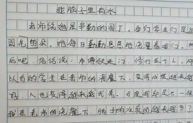 小学生作文 村里学霸 走红 说出了多少人的心里话 老师 神童 小学生 村里学霸 小学 作文