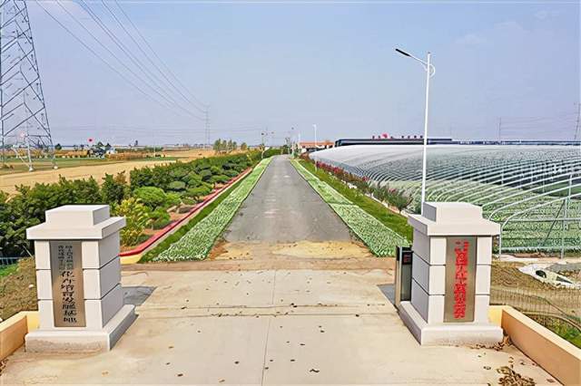 多彩姜山的密码莱西姜山镇深化莱西会议经验打造魅力新城