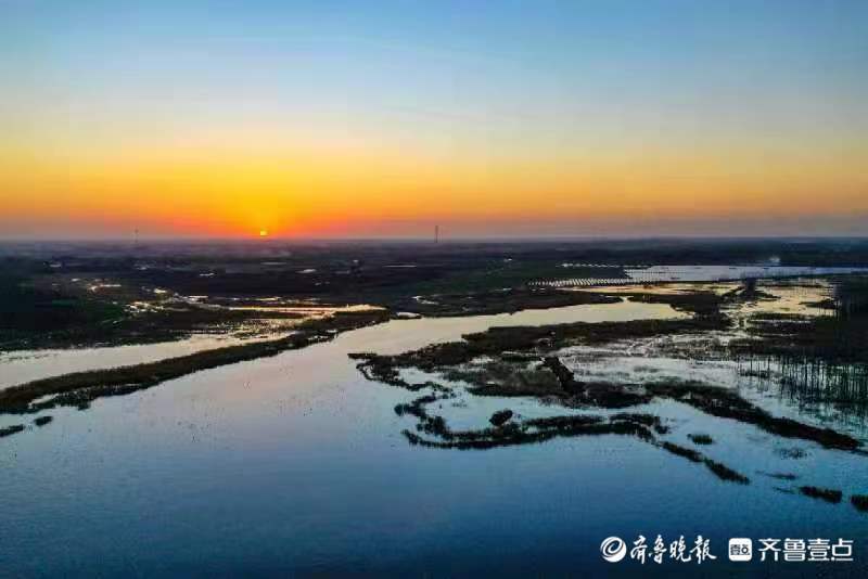 魯豫交匯處,黃河故道景色美