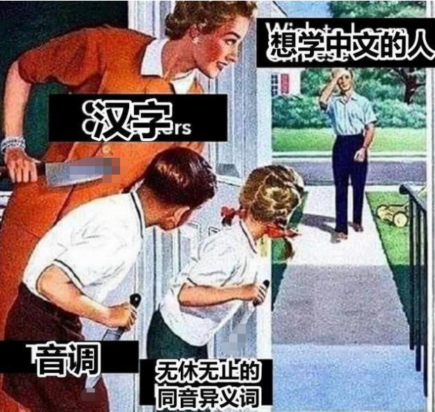 外国人用一组梗图诠释中文难学,图片很写实,网友:终于轮到你们