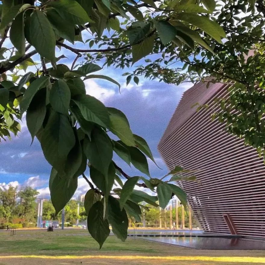 上饶市图书馆科技馆博物馆信州区图书馆发布有序恢复开馆公告