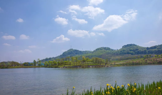 瀘州又一項城建成績亮眼,我們身邊這些地方