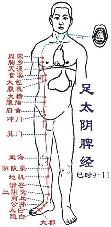 人體14條經絡一通百通一堵百堵