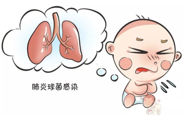 肺炎高发季,疫苗接种有疑问?看这里!
