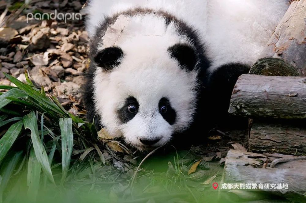 这就去给妈妈打个电话怪不好意思的你不说我还不知道今天是感恩节呢太