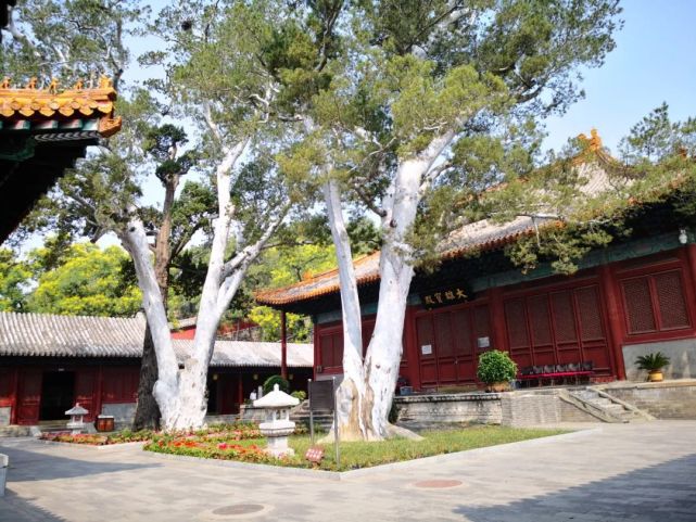 模式口|法海寺|門票