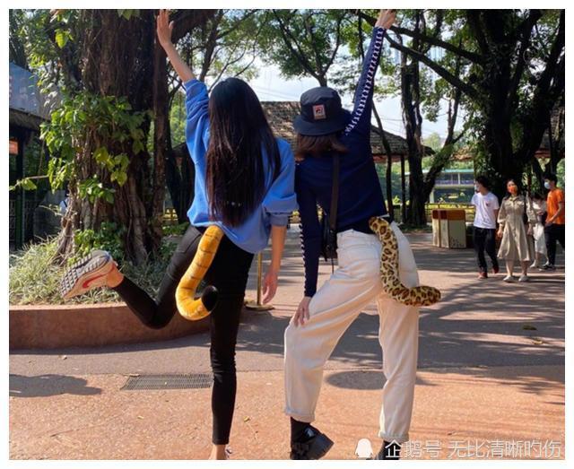 高圆圆11月21日晒照!在动物园摆pose,长腿翘臀哪像生过孩子的人