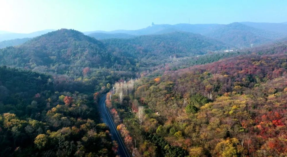 航拍初冬琅琊山 吴照成/摄(滁州)