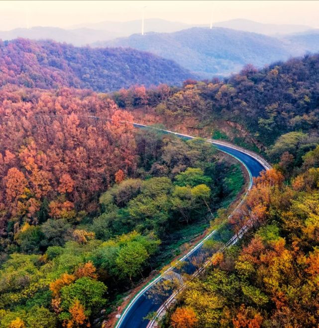 美到窒息全椒初冬美景已上线错过再等一年