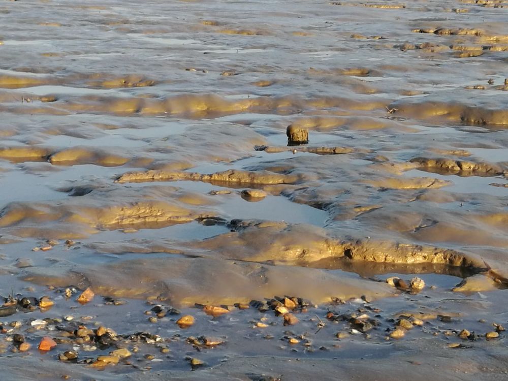 而由于这种淤泥物质组成较细,机构较为松散,一旦受到水的作用就会从
