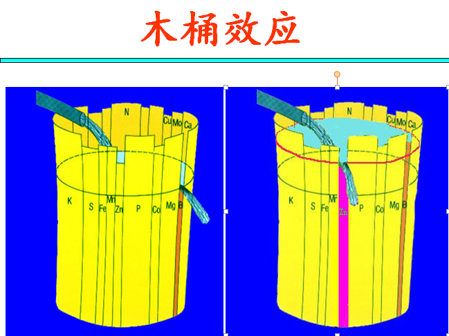 消之宝