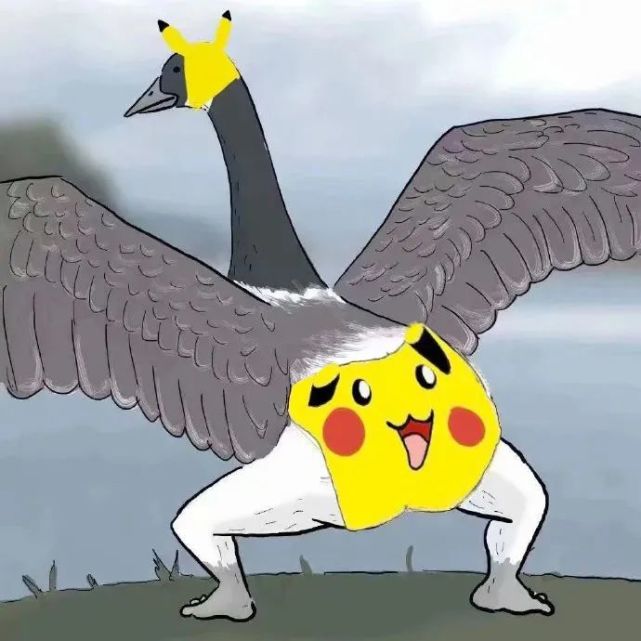 大鹅表情包更新了!你屁股大,先踢你