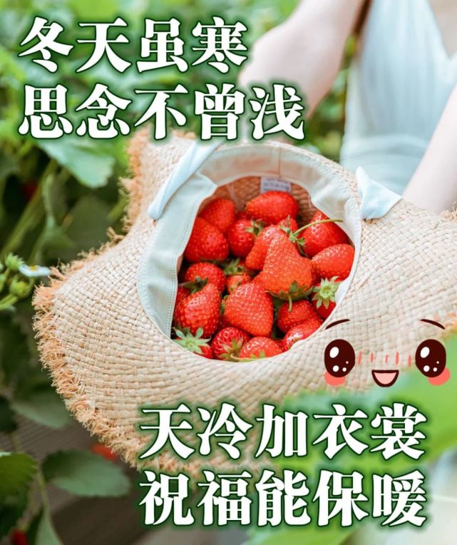 创意好看的早安问候祝福动态图片表情带字温馨,温馨的早安问候语精选