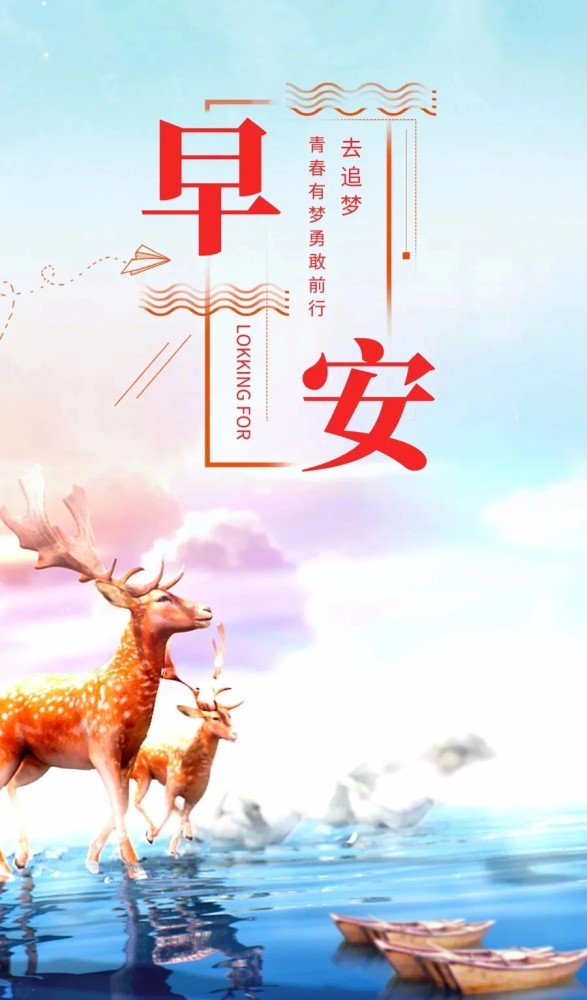 向着阳光,野蛮生长