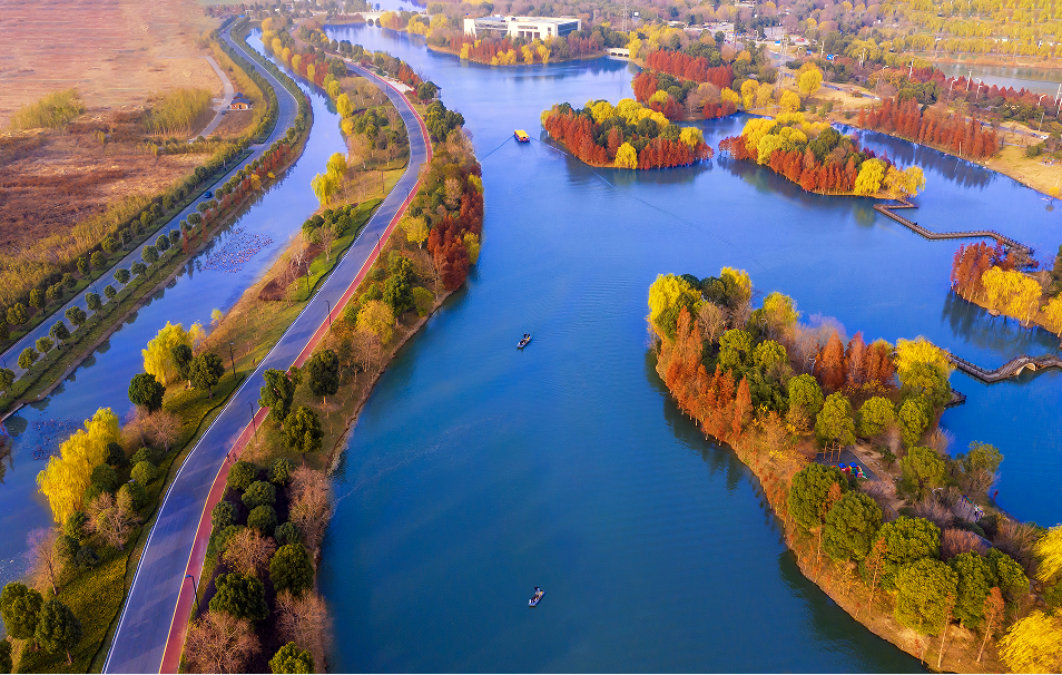 阜阳这里美得像"仙境"……_腾讯新闻
