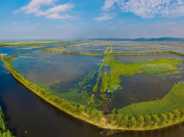东太湖湿地公园迎来近万只越冬水鸟