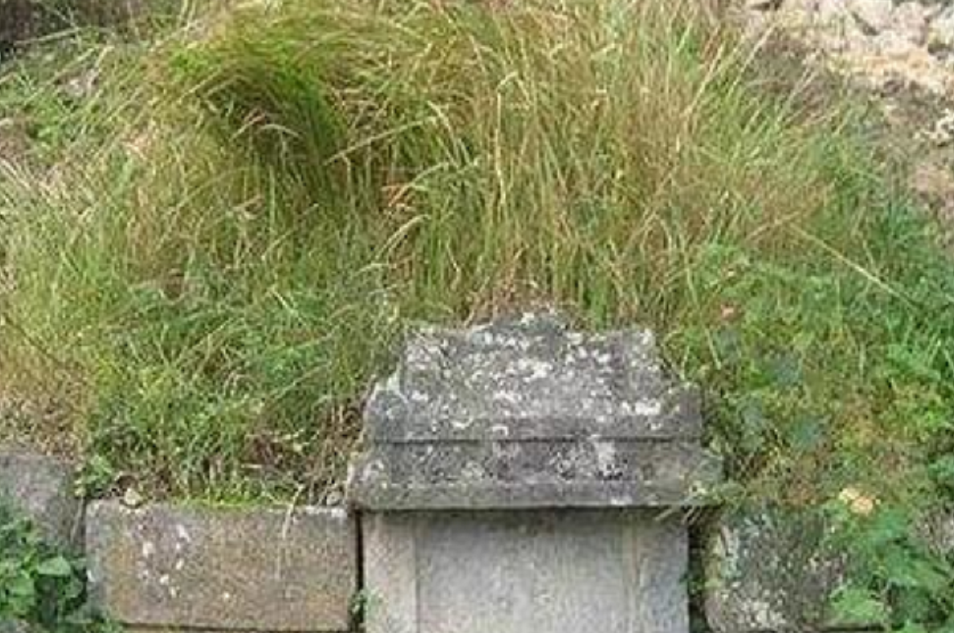 捕蛇人打死73条毒蛇5年后被咬身亡蛇群真的会记仇吗