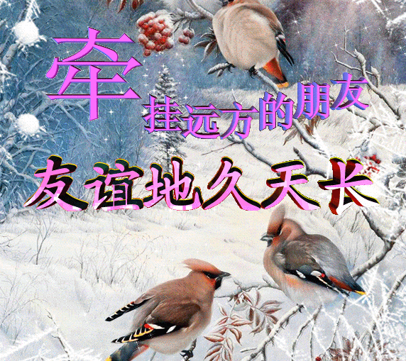 简单的问候,其实是心与心的交集,朋友,祝你一切顺意,早安!