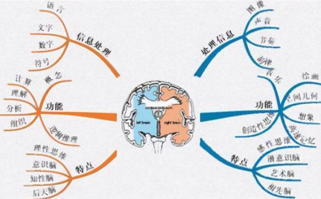 聪明的孩子更难带?娃若有这3个"烦人"表现,父母要及时培养