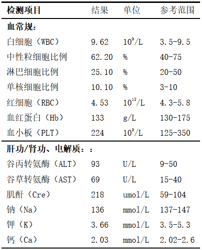 不可忽视的杀手,老鼠体内的致命病毒